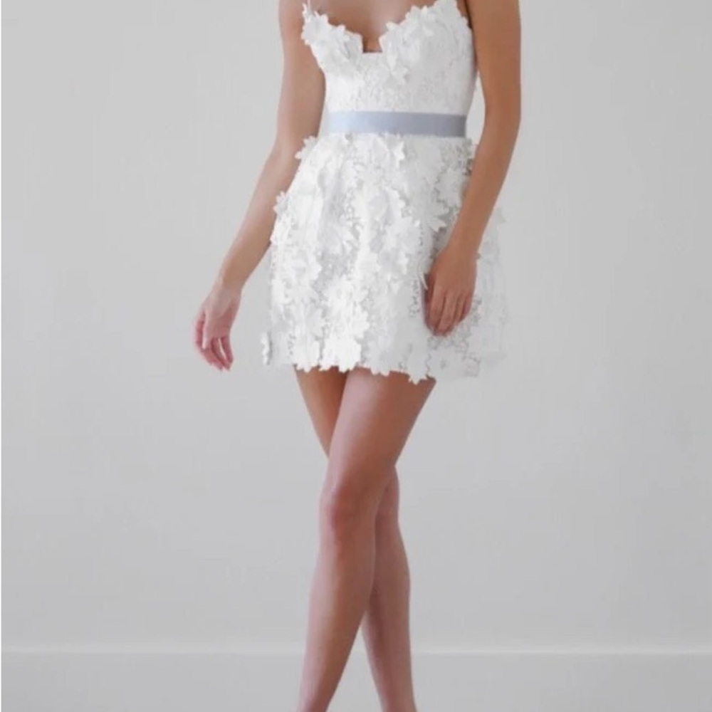 Watters Violeta Dress